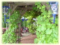 Biergarten1