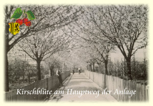 Rosenweg